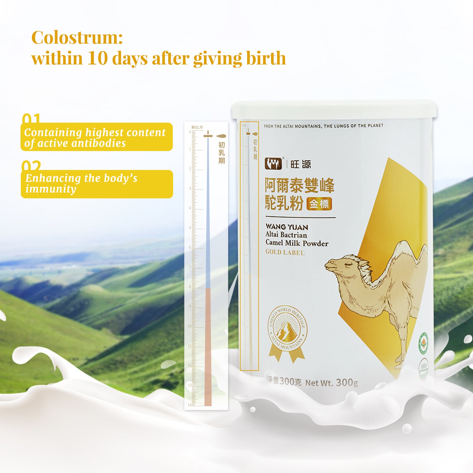 Camel Milk Powder - GOLD LABEL 金标
